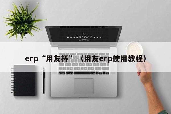 erp“用友杯”（用友erp使用教程）