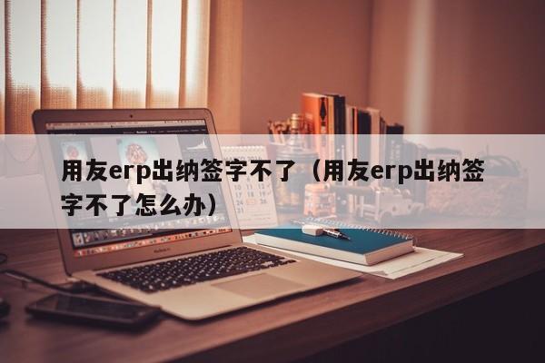 用友erp出纳签字不了（用友erp出纳签字不了怎么办）