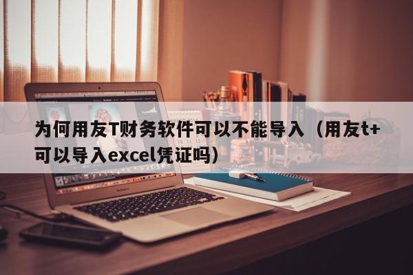 为何用友T财务软件可以不能导入（用友t+可以导入excel凭证吗）