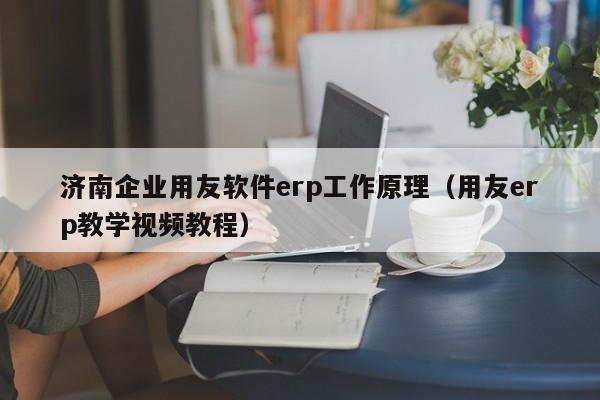 济南企业用友软件erp工作原理（用友erp教学视频教程）