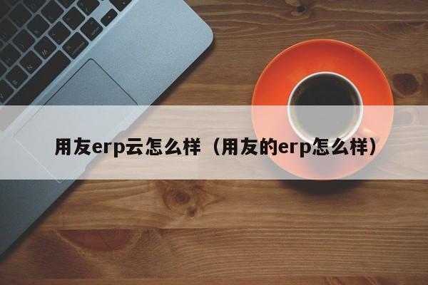 用友erp云怎么样（用友的erp怎么样）