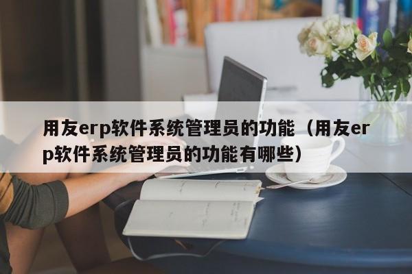 用友erp软件系统管理员的功能（用友erp软件系统管理员的功能有哪些）