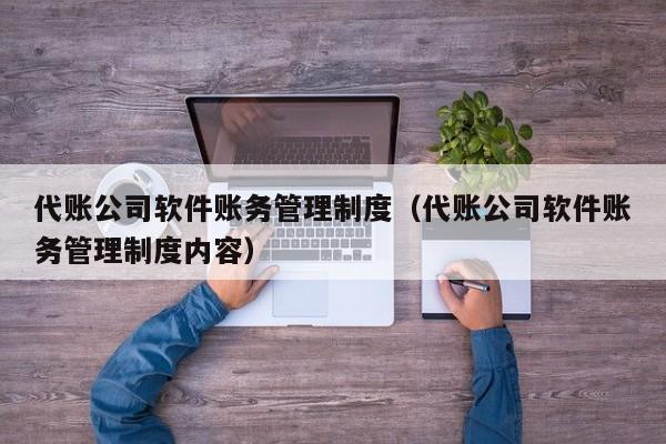 代账公司软件账务管理制度（代账公司软件账务管理制度内容）