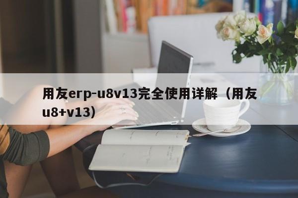 用友erp-u8v13完全使用详解（用友u8+v13）