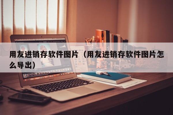 用友进销存软件图片（用友进销存软件图片怎么导出）