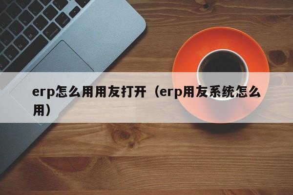 erp怎么用用友打开（erp用友系统怎么用）