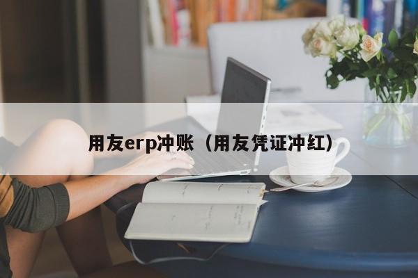 用友erp冲账（用友凭证冲红）