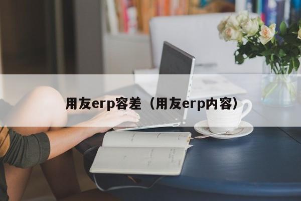 用友erp容差（用友erp内容）