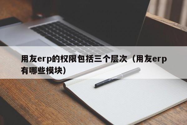 用友erp的权限包括三个层次（用友erp有哪些模块）