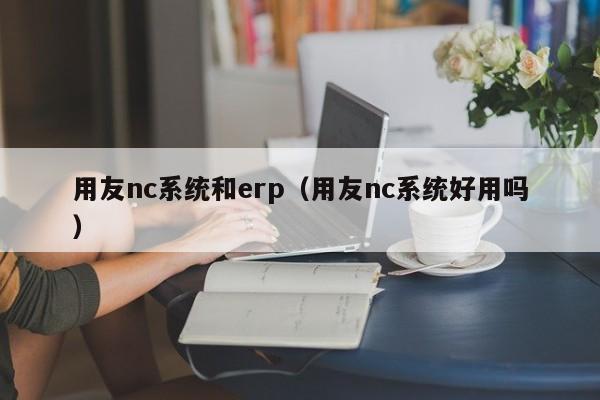 用友nc系统和erp（用友nc系统好用吗）