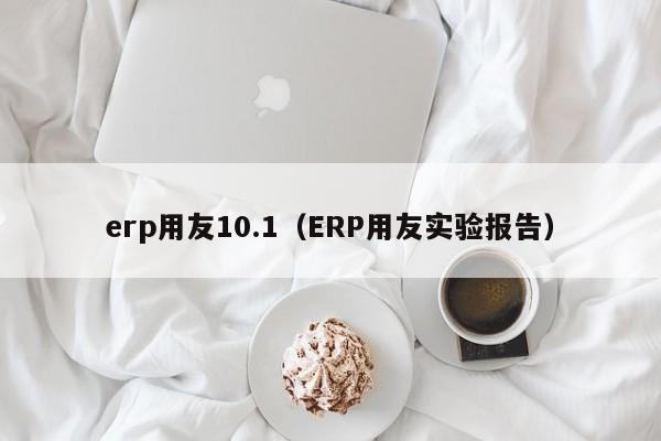 erp用友10.1（ERP用友实验报告）