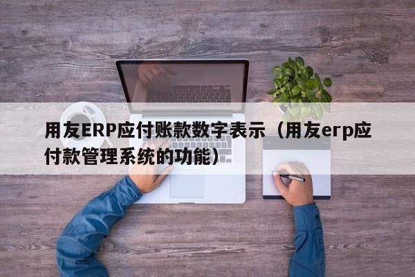 用友ERP应付账款数字表示（用友erp应付款管理系统的功能）