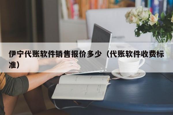 伊宁代账软件销售报价多少（代账软件收费标准）