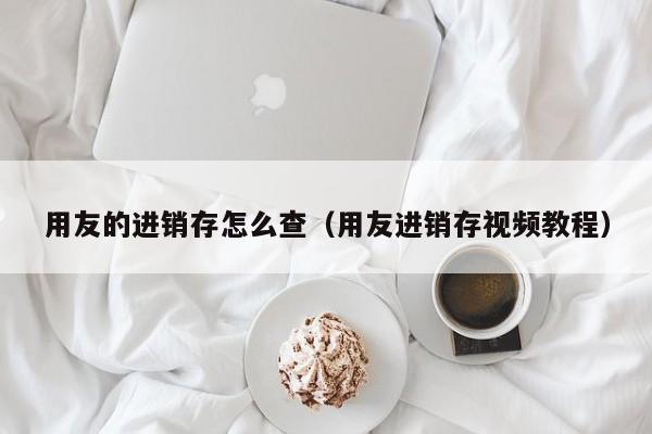 用友的进销存怎么查（用友进销存视频教程）