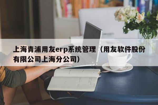 上海青浦用友erp系统管理（用友软件股份有限公司上海分公司）