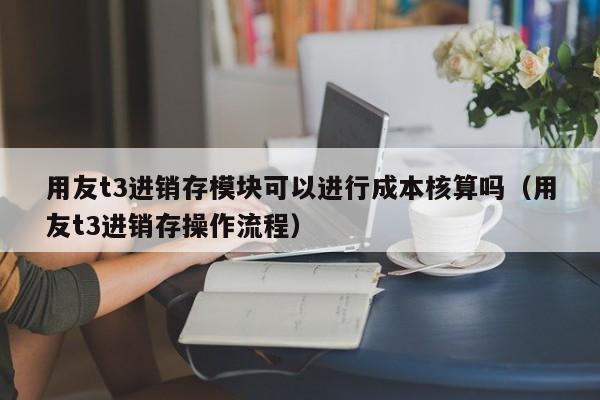 用友t3进销存模块可以进行成本核算吗（用友t3进销存操作流程）