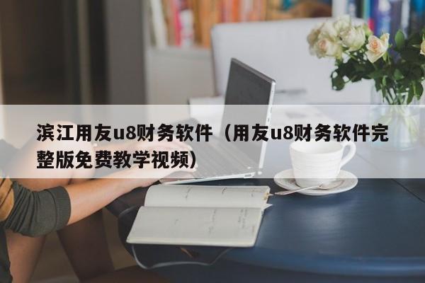 滨江用友u8财务软件（用友u8财务软件完整版免费教学视频）