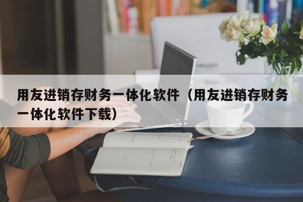 用友进销存财务一体化软件（用友进销存财务一体化软件下载）