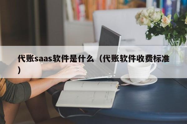 代账saas软件是什么（代账软件收费标准）