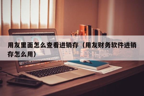 用友里面怎么查看进销存（用友财务软件进销存怎么用）