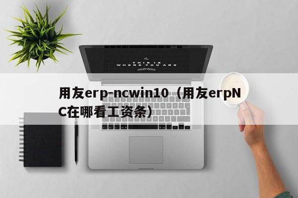 用友erp-ncwin10（用友erpNC在哪看工资条）