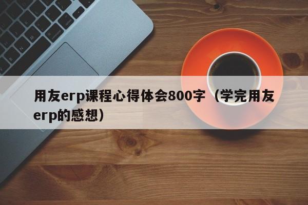 用友erp课程心得体会800字（学完用友erp的感想）