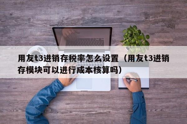 用友t3进销存税率怎么设置（用友t3进销存模块可以进行成本核算吗）