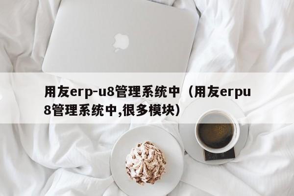 用友erp-u8管理系统中（用友erpu8管理系统中,很多模块）