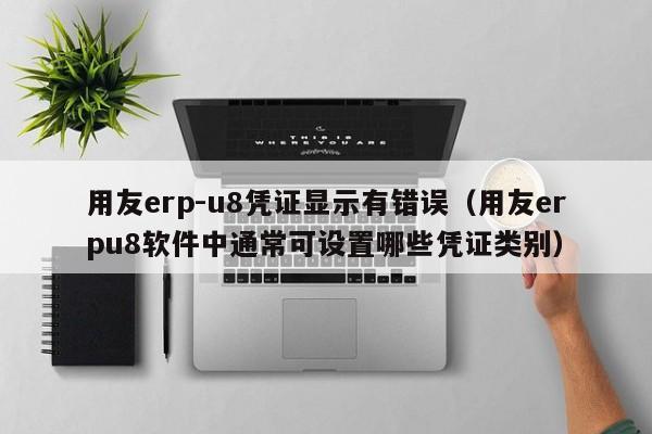 用友erp-u8凭证显示有错误（用友erpu8软件中通常可设置哪些凭证类别）