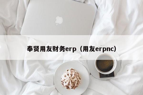 奉贤用友财务erp（用友erpnc）