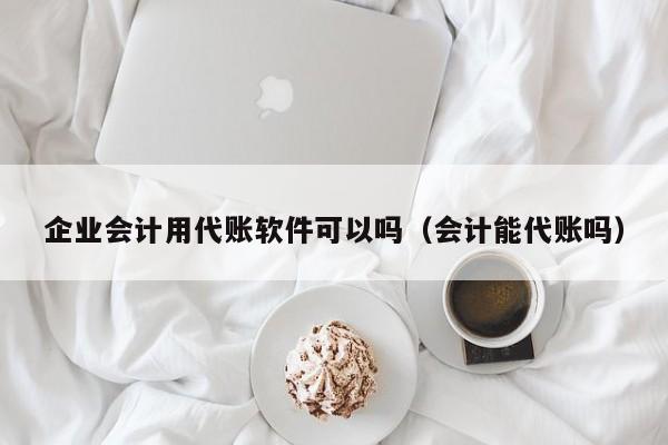 企业会计用代账软件可以吗（会计能代账吗）