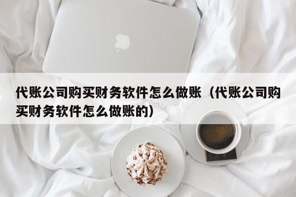 代账公司购买财务软件怎么做账（代账公司购买财务软件怎么做账的）