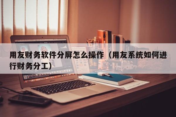 用友财务软件分屏怎么操作（用友系统如何进行财务分工）