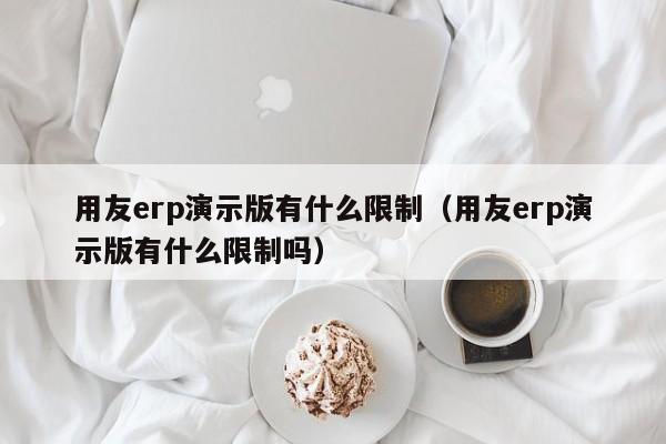 用友erp演示版有什么限制（用友erp演示版有什么限制吗）