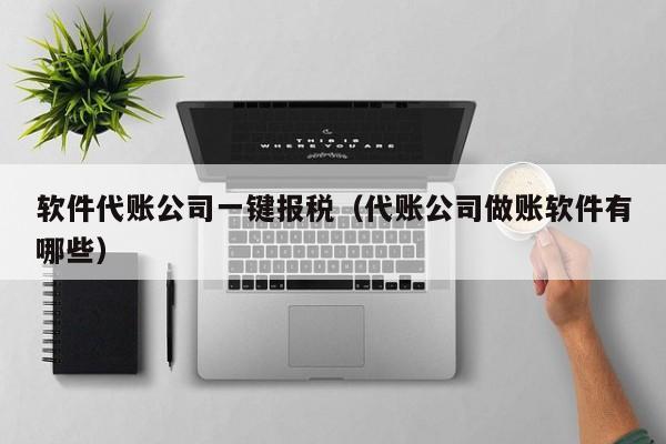 软件代账公司一键报税（代账公司做账软件有哪些）