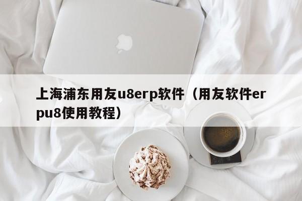 上海浦东用友u8erp软件（用友软件erpu8使用教程）