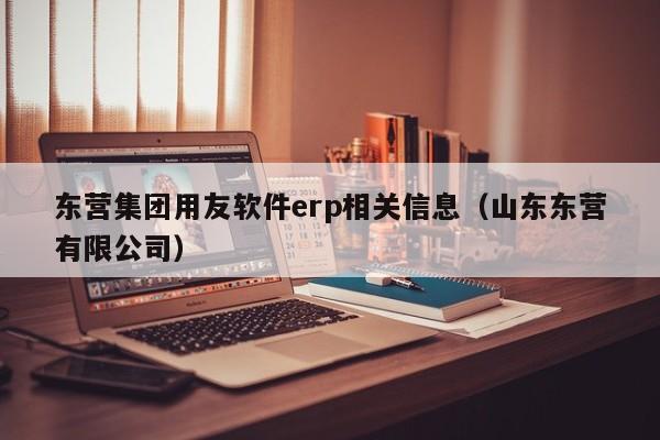 东营集团用友软件erp相关信息（山东东营有限公司）