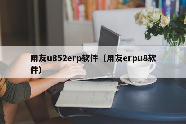 用友u852erp软件（用友erpu8软件）