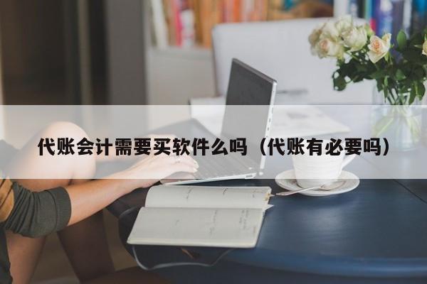 代账会计需要买软件么吗（代账有必要吗）