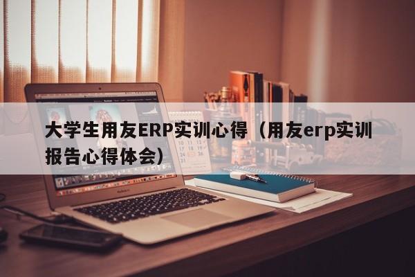 大学生用友ERP实训心得（用友erp实训报告心得体会）