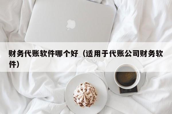 财务代账软件哪个好（适用于代账公司财务软件）