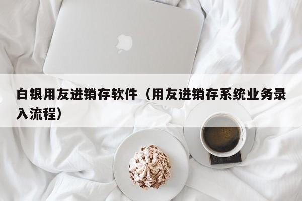 白银用友进销存软件（用友进销存系统业务录入流程）