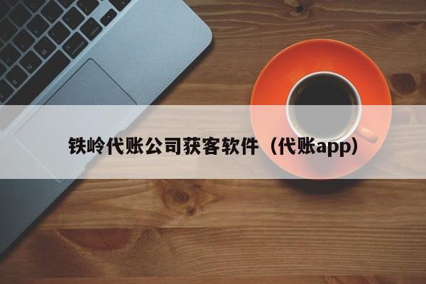 铁岭代账公司获客软件（代账app）