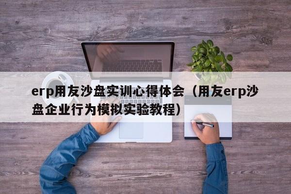 erp用友沙盘实训心得体会（用友erp沙盘企业行为模拟实验教程）