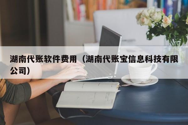 湖南代账软件费用（湖南代账宝信息科技有限公司）