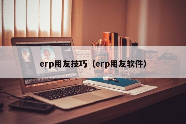 erp用友技巧（erp用友软件）