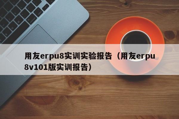 用友erpu8实训实验报告（用友erpu8v101版实训报告）