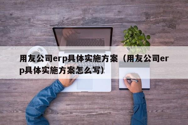 用友公司erp具体实施方案（用友公司erp具体实施方案怎么写）