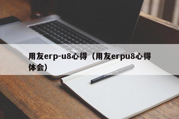 用友erp-u8心得（用友erpu8心得体会）