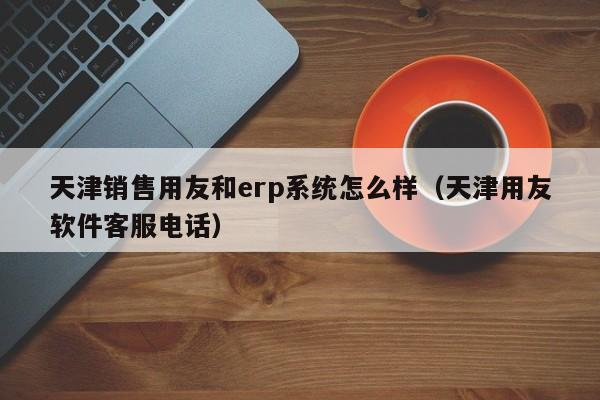 天津销售用友和erp系统怎么样（天津用友软件客服电话）